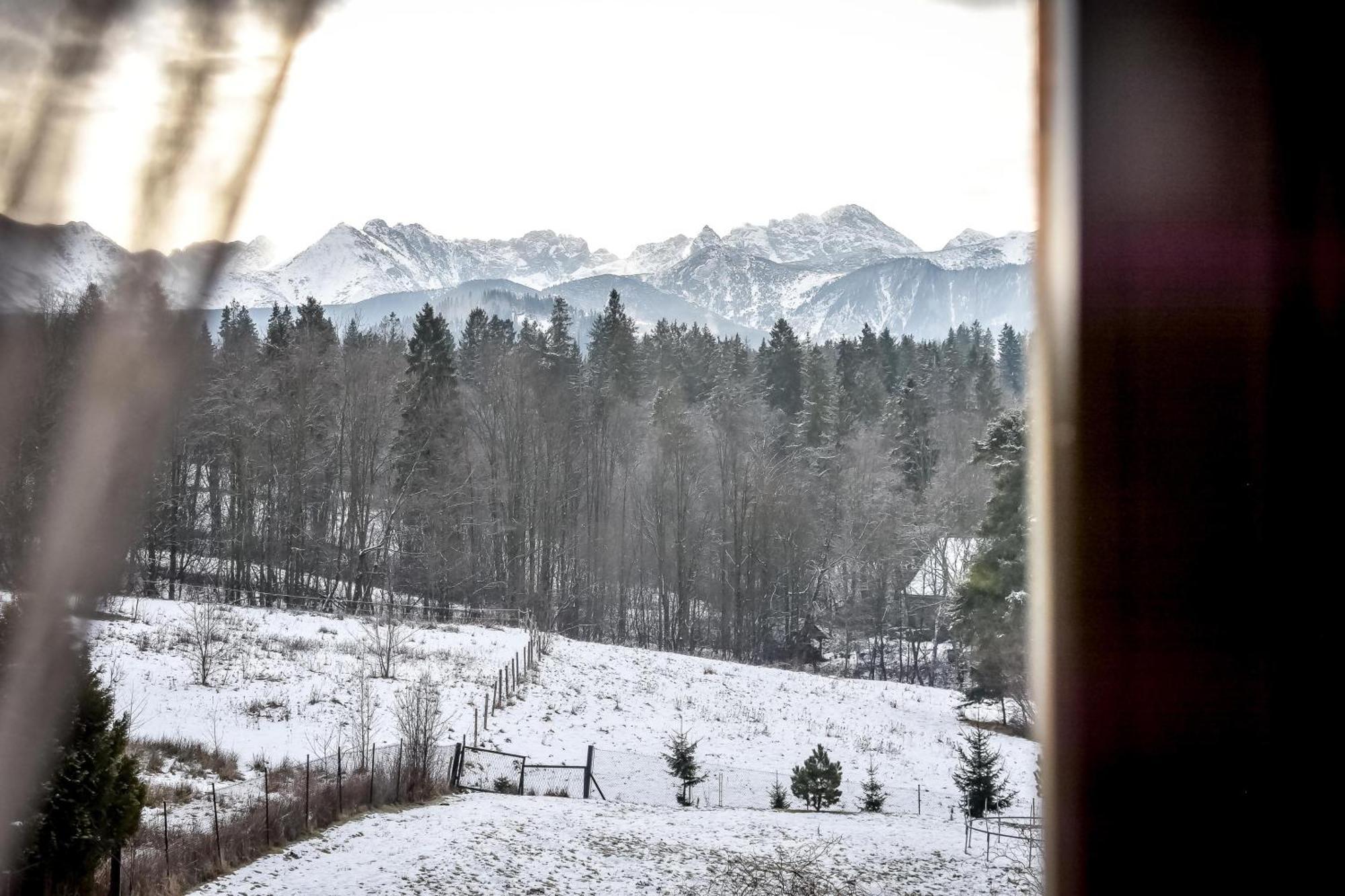 Apart4sleepers Dwupoziomowy Wichrowe Wzgorze * Zakopane